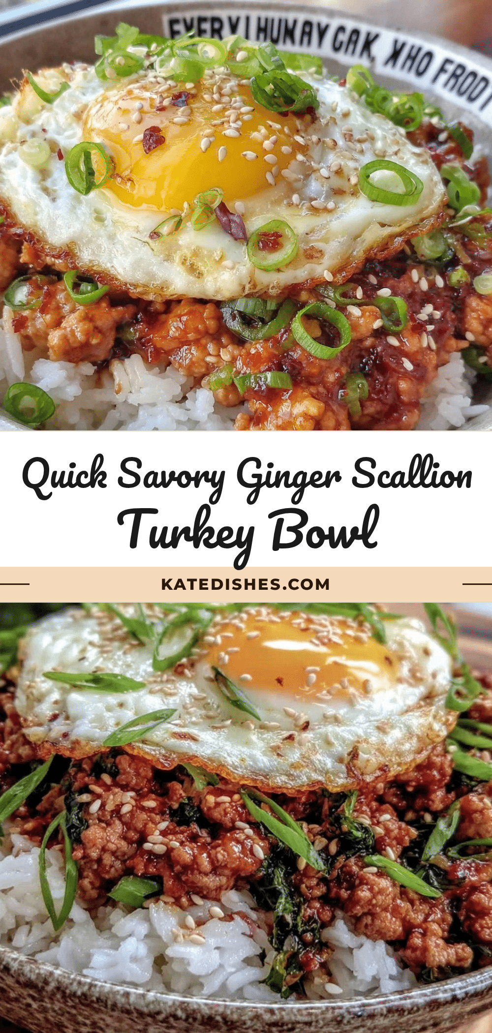 ginger scallion turkey rice bowl recipe